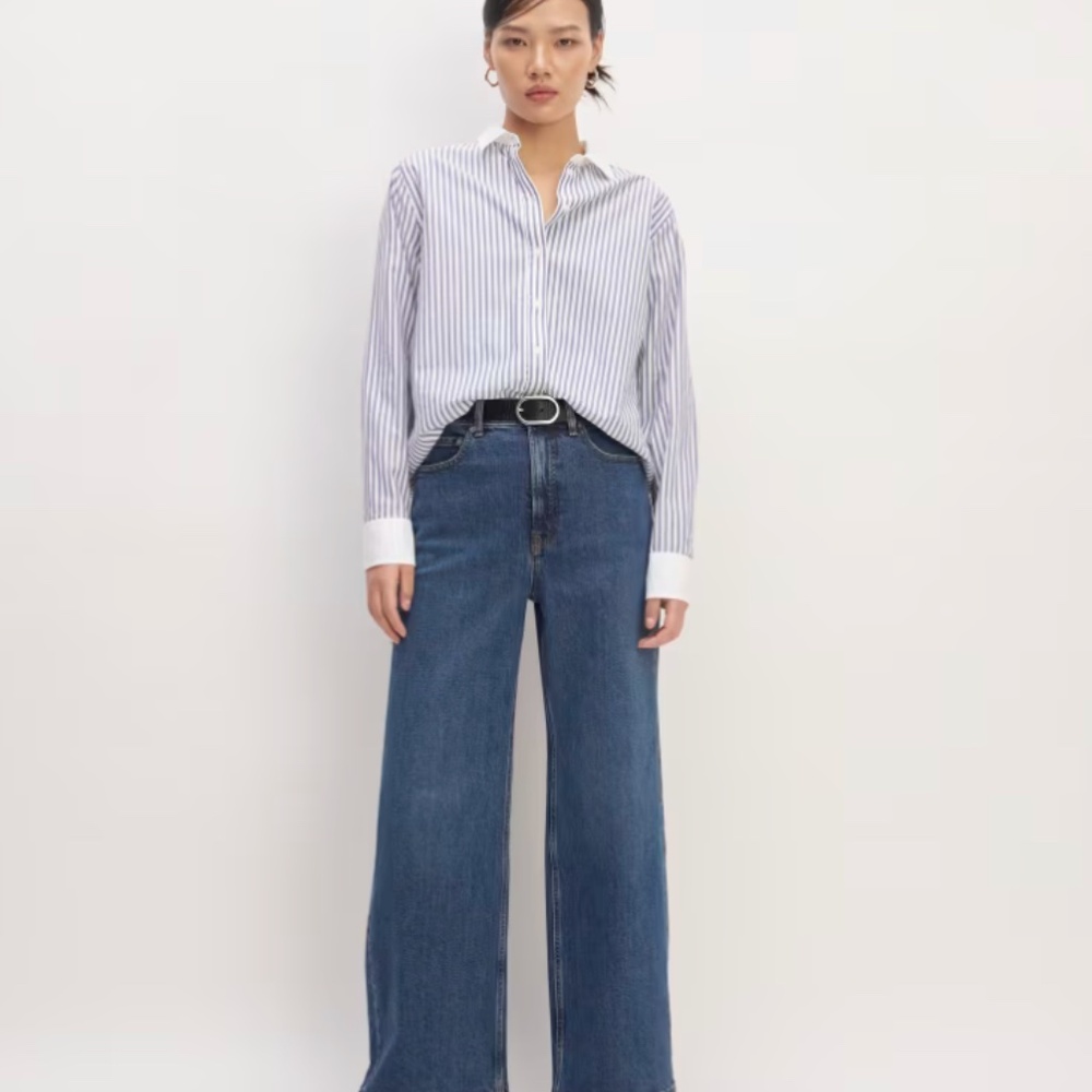 Everlane The Silky Cotton Relaxed Shirt, size 2